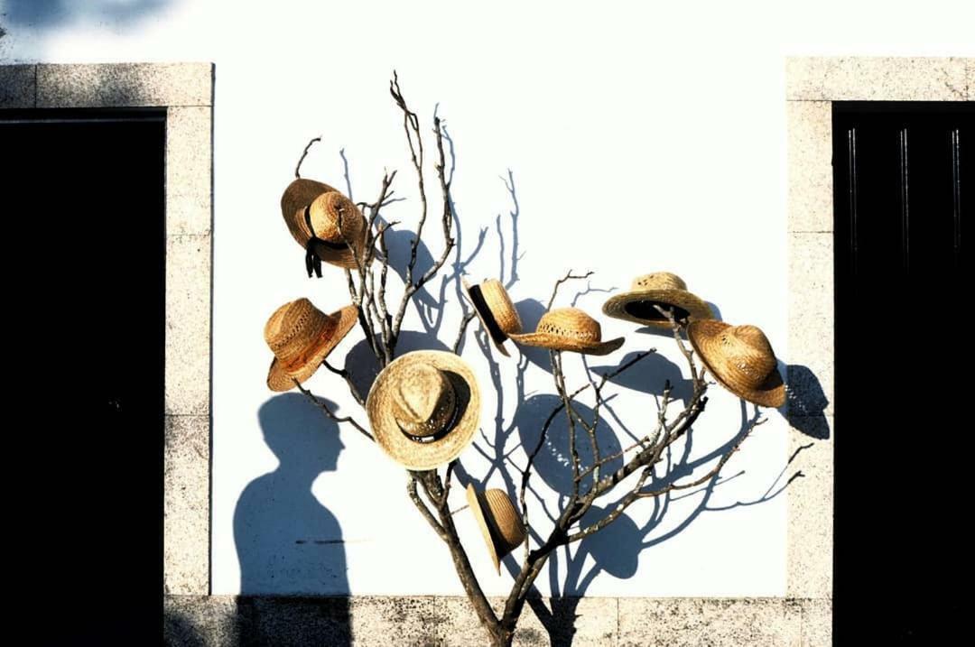 Casa Dos Gomes Vendégház Viseu Kültér fotó