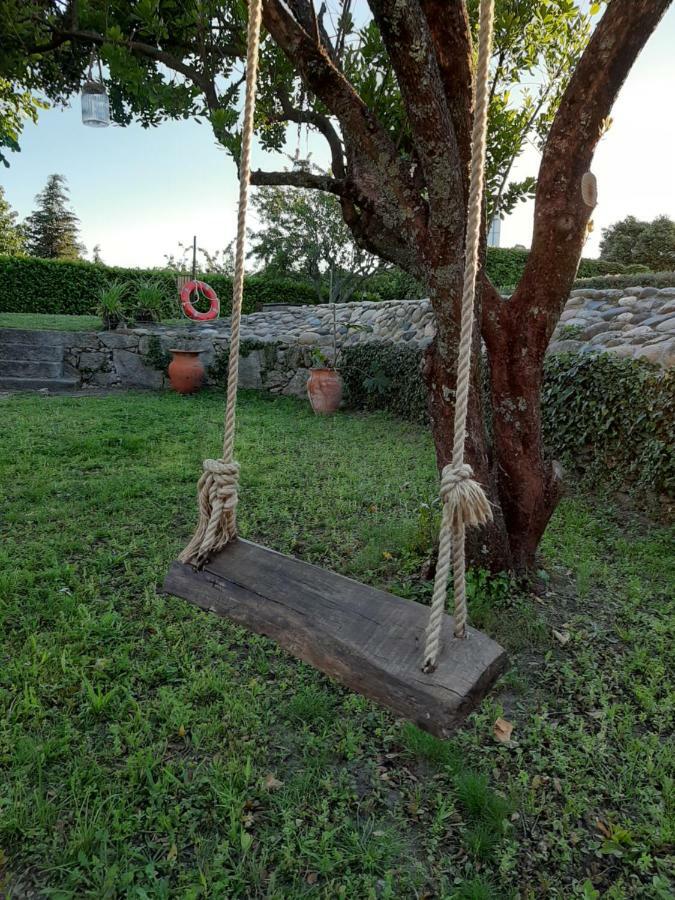 Casa Dos Gomes Vendégház Viseu Kültér fotó